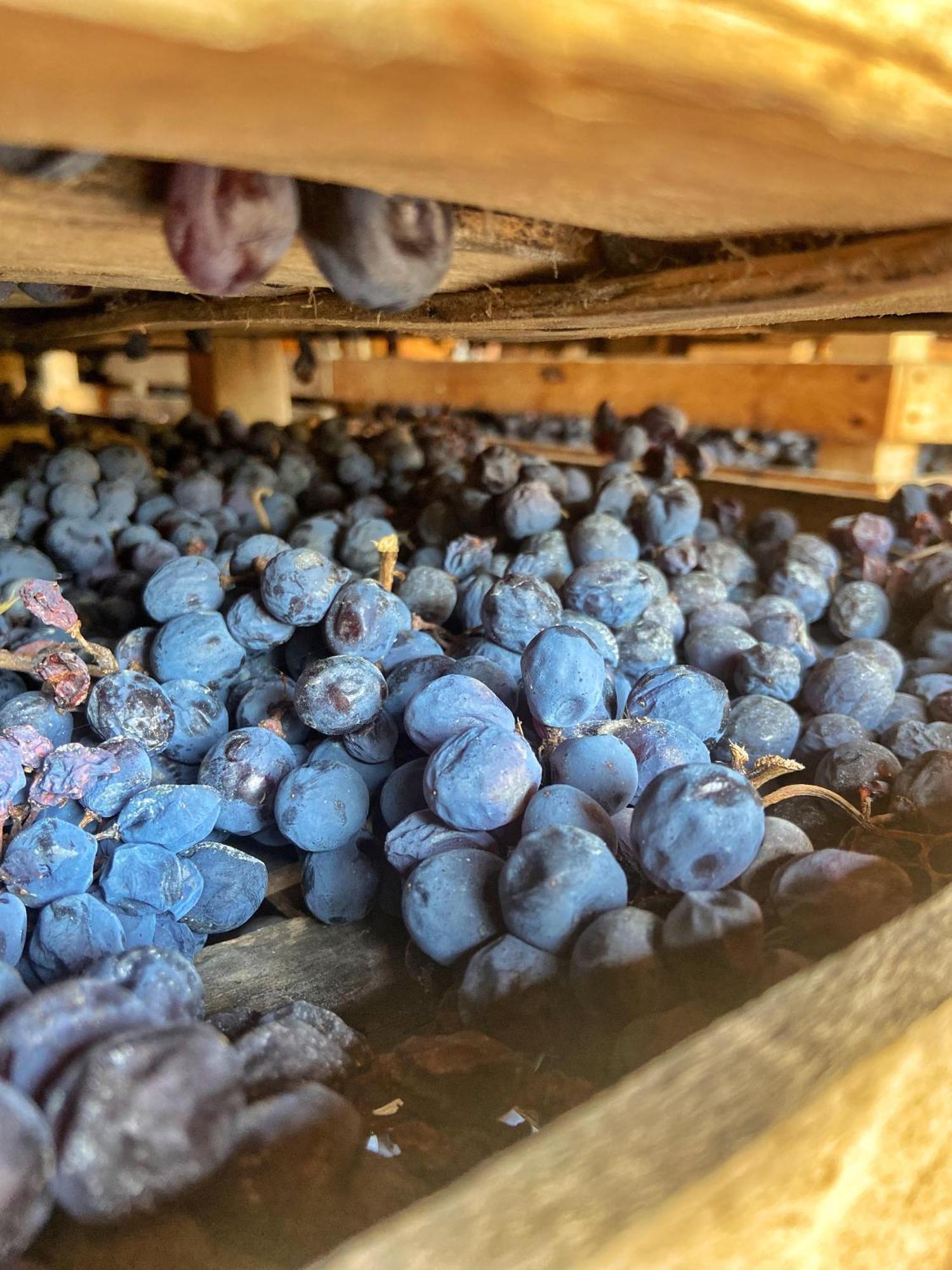 Willa La Vineria Di San Mattia Werona Zewnętrze zdjęcie