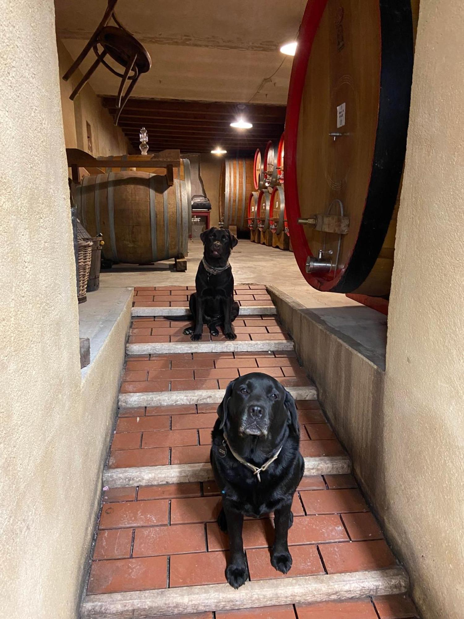 Willa La Vineria Di San Mattia Werona Zewnętrze zdjęcie