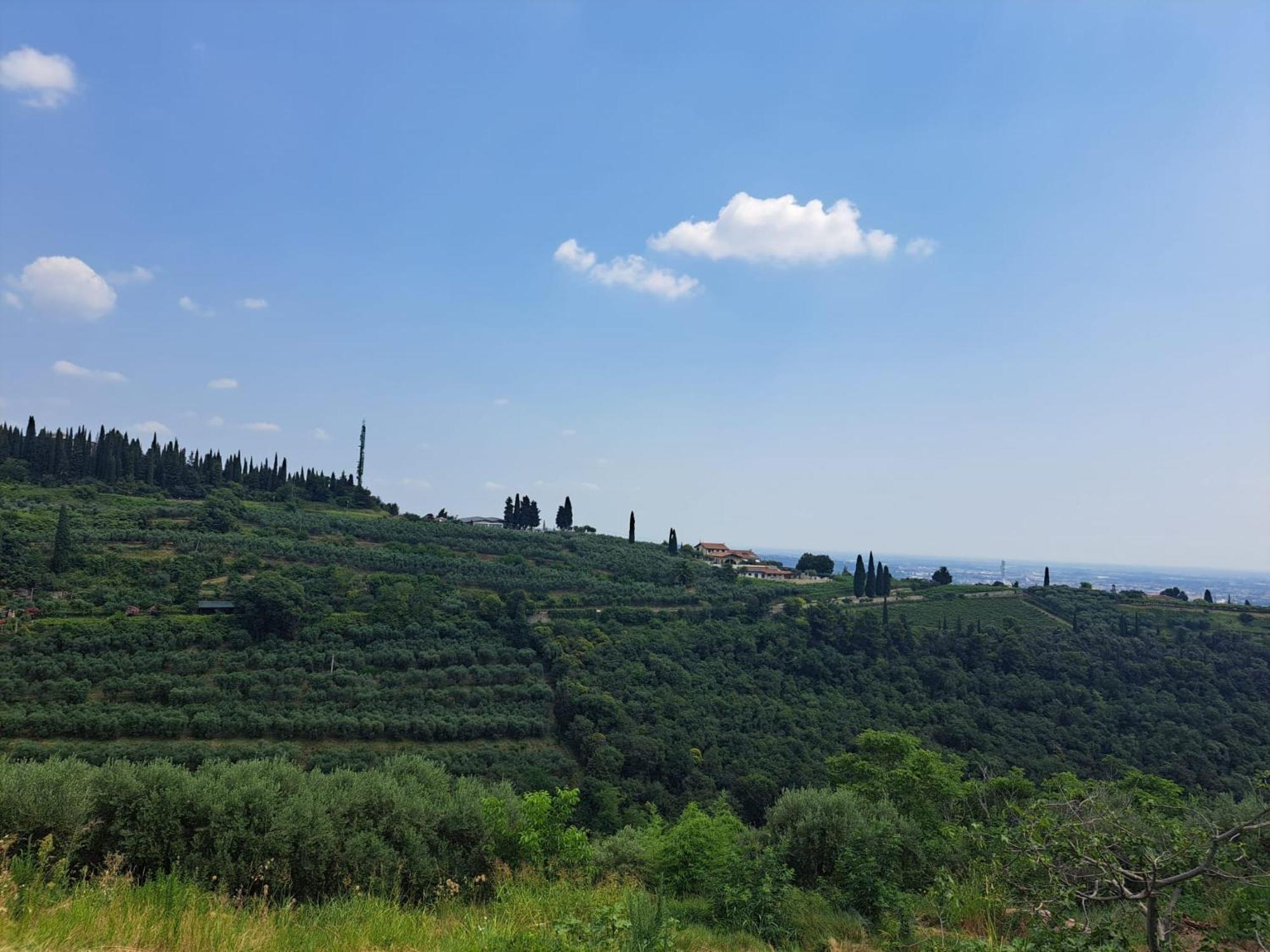 Willa La Vineria Di San Mattia Werona Pokój zdjęcie